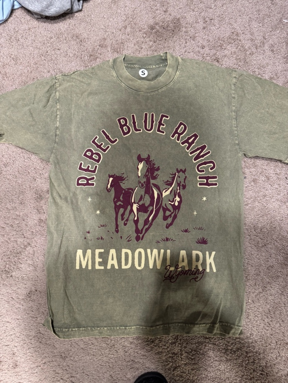 Rebel Blue Ranch Meadowlark Graphic Tee - Olive
